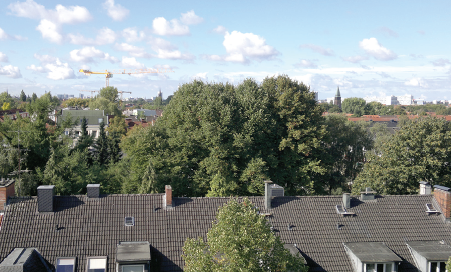 Blick vom Dach Blick vom Dach